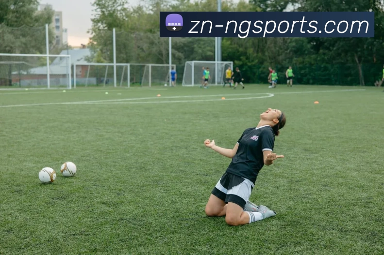 ng体育APP 封面图